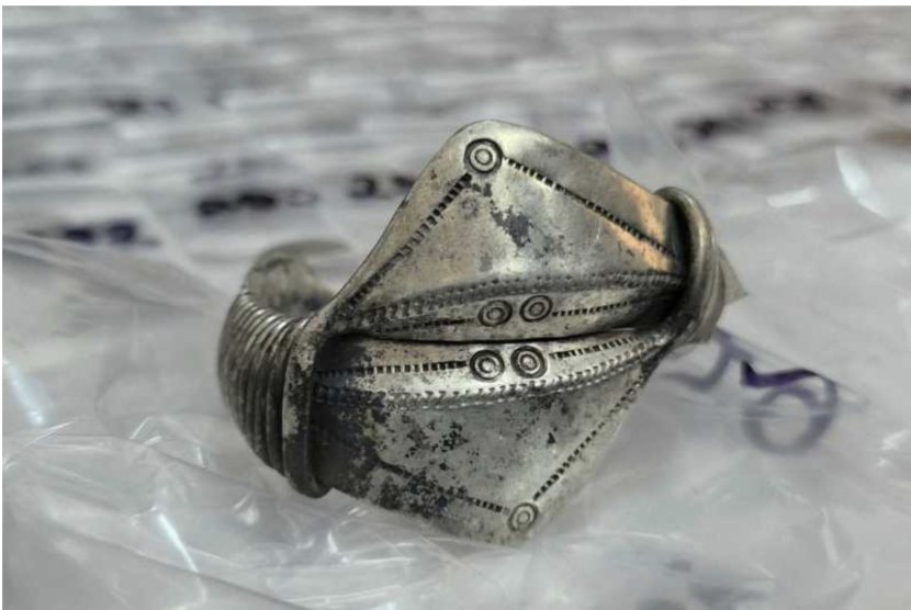 Captură de ecran din 2026-04-24 la 17.12.24